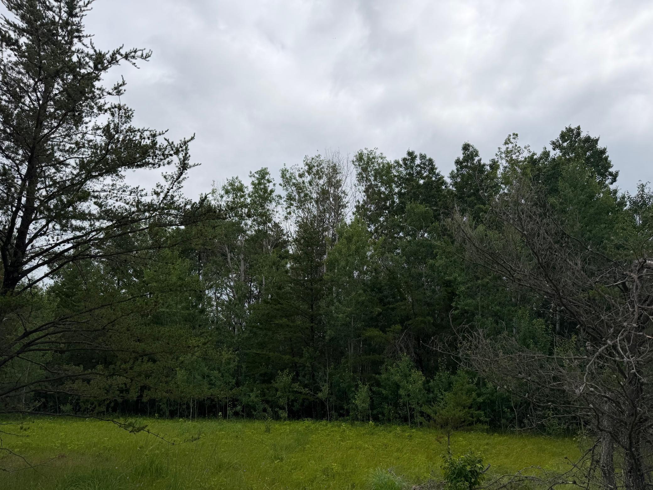Tbd 350th Street Property Photo 81
