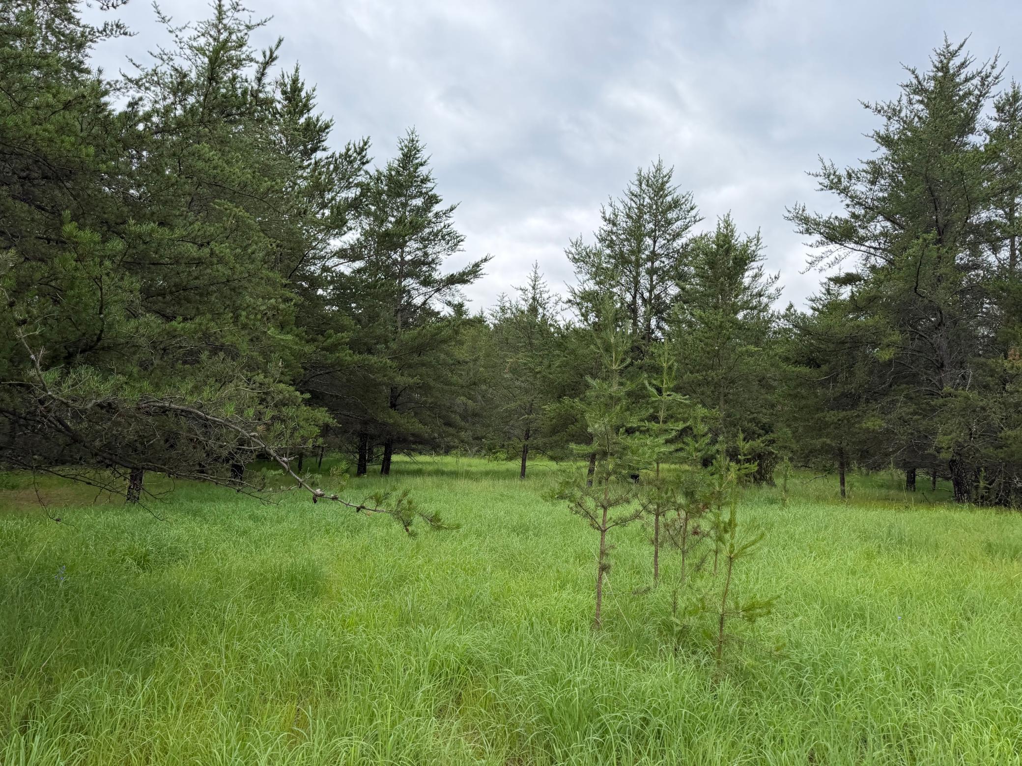 Tbd 350th Street Property Photo 82