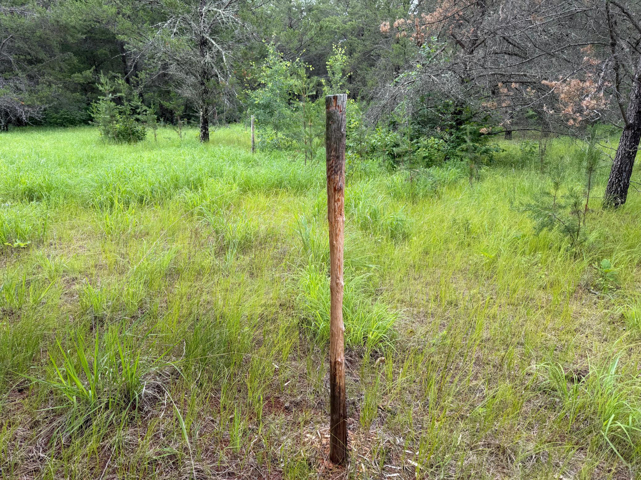 Tbd 350th Street Property Photo 83