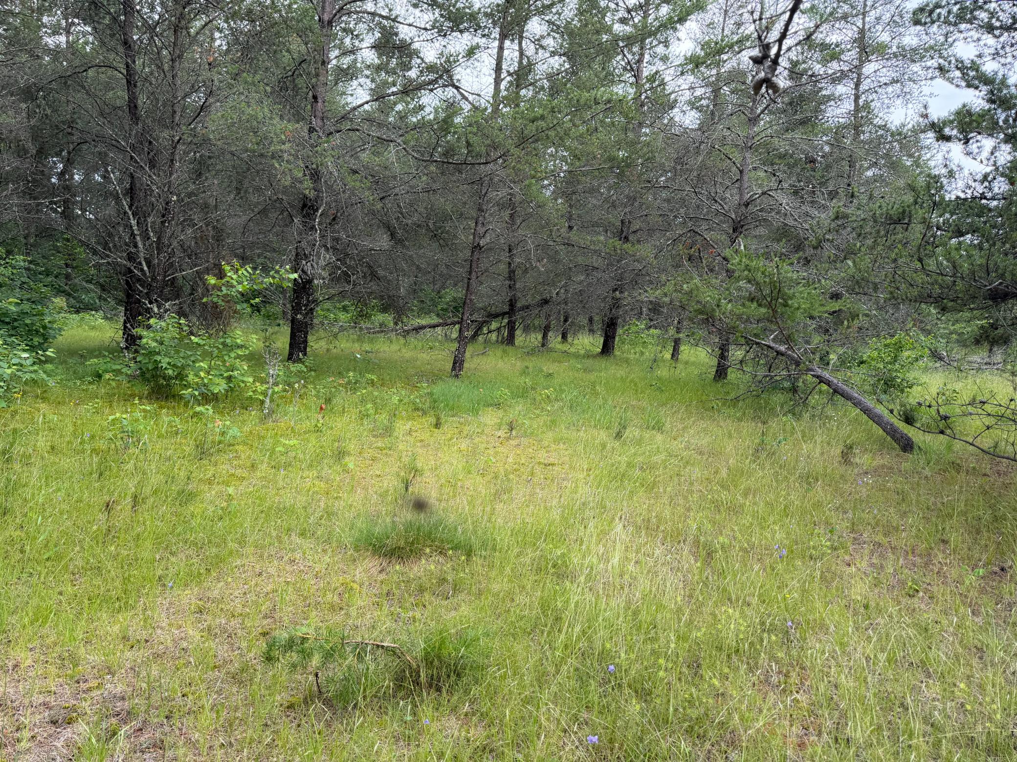 Tbd 350th Street Property Photo 84