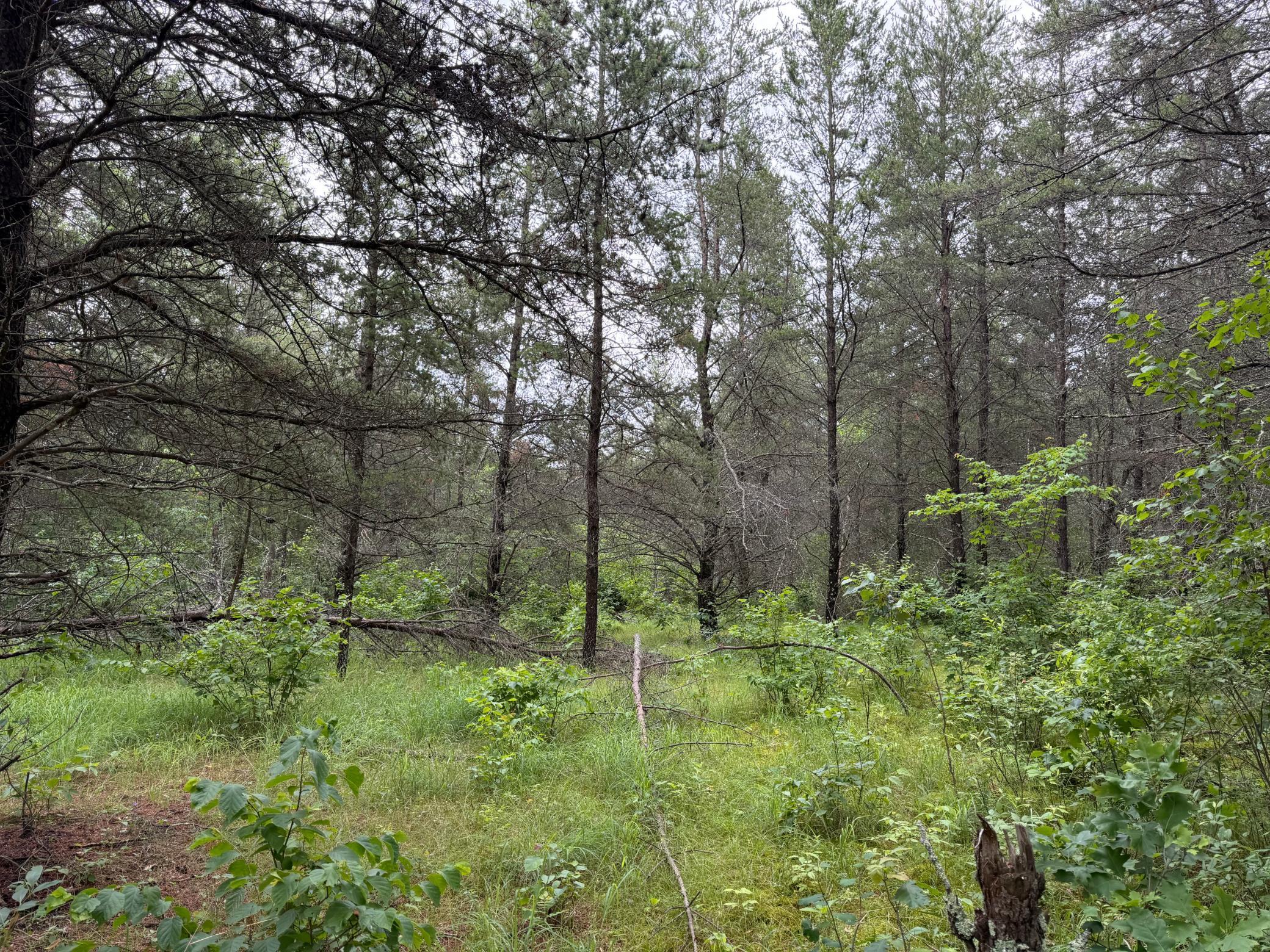 Tbd 350th Street Property Photo 85