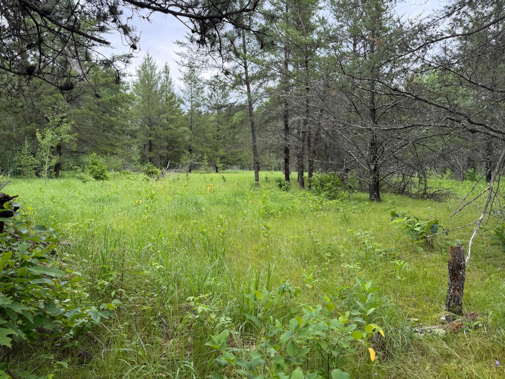 Tbd 350th Street Property Photo 88