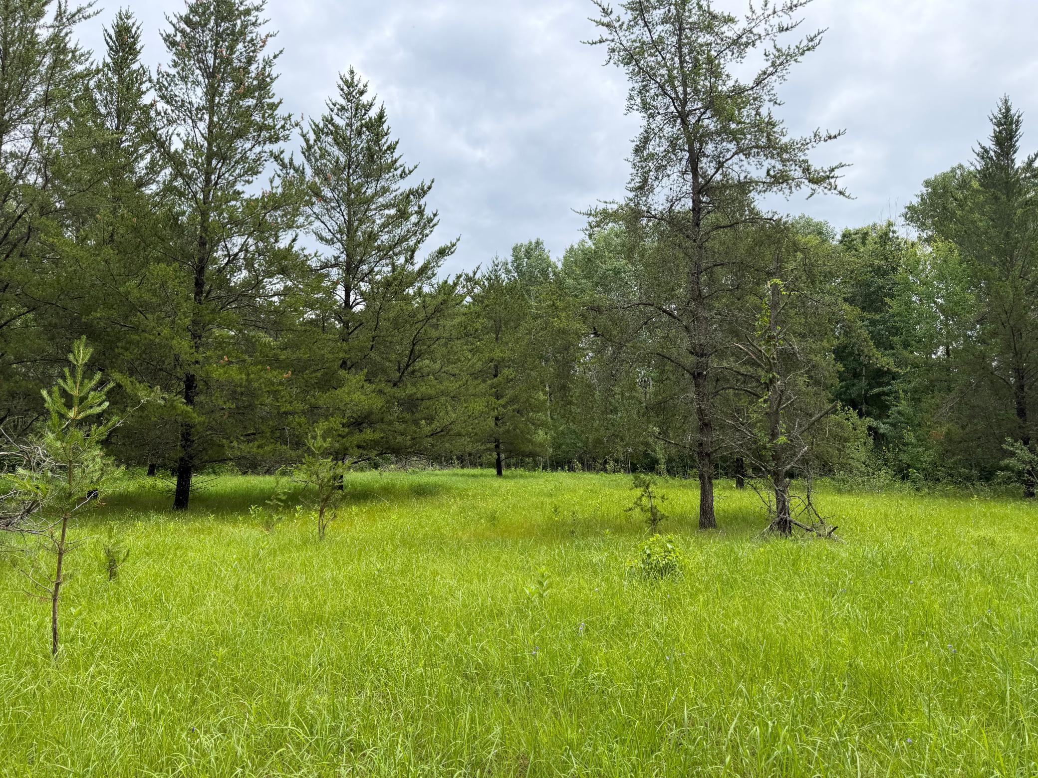 Tbd 350th Street Property Photo 89