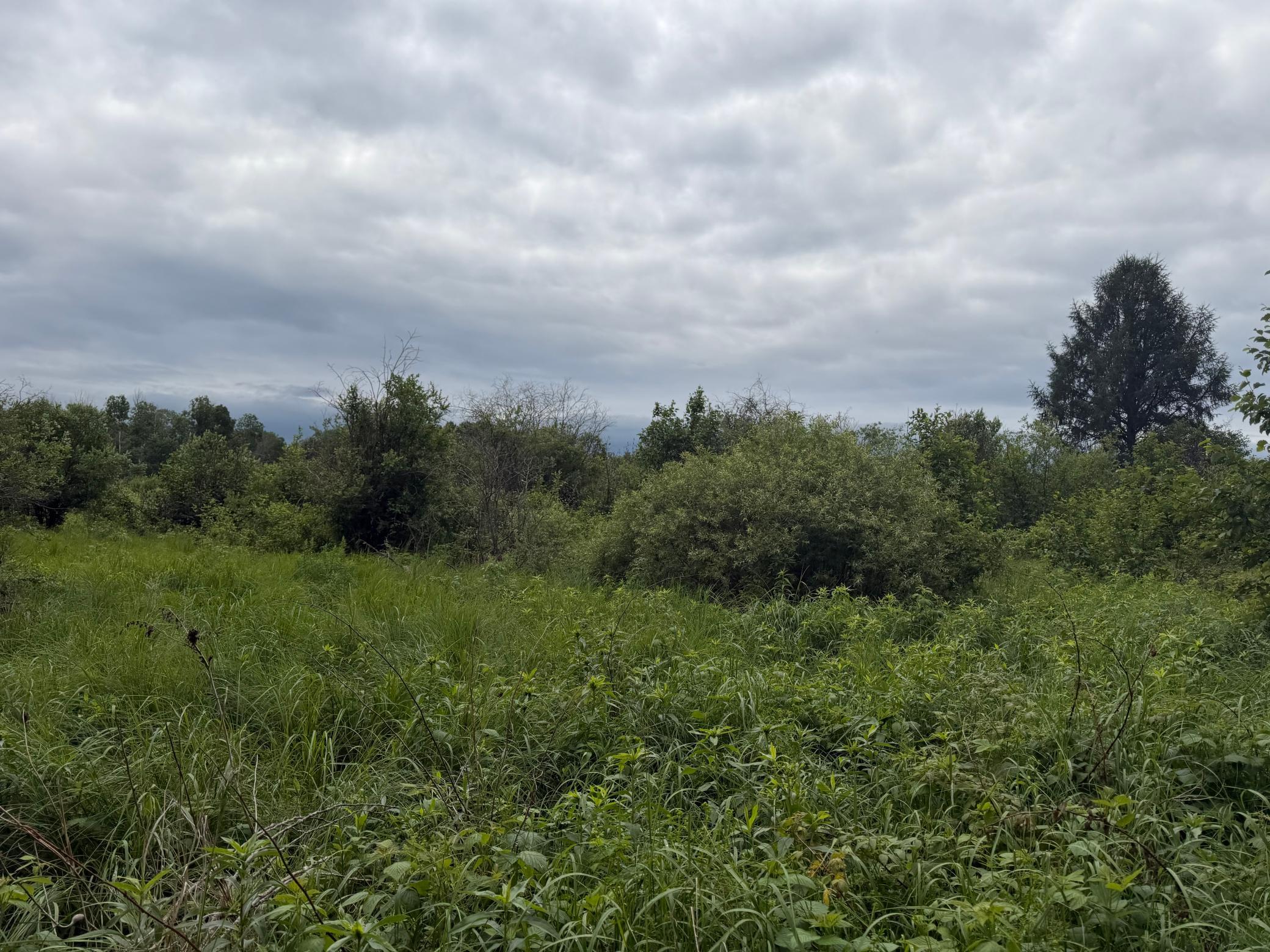 Tbd 350th Street Property Photo 93