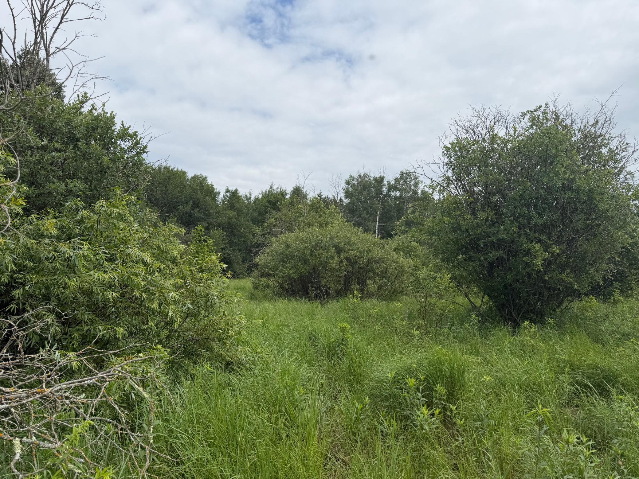 Tbd 350th Street Property Photo 94