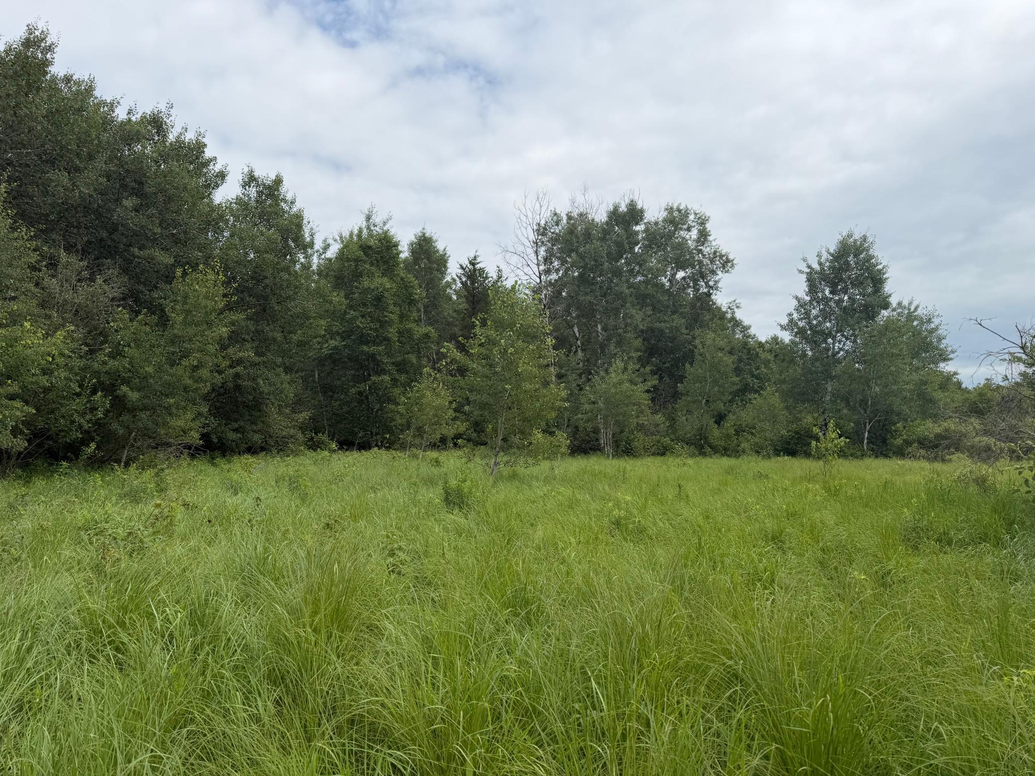 Tbd 350th Street Property Photo 95