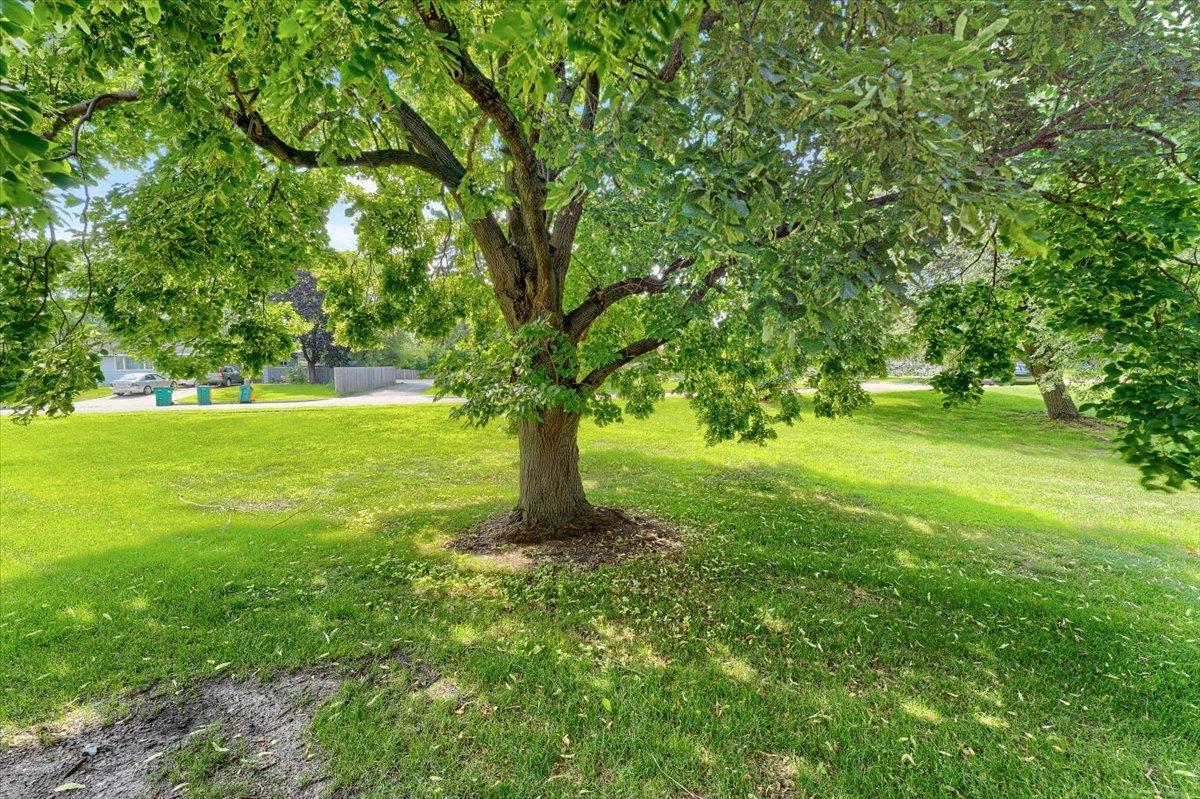 1205 63rd Lane Property Photo 31