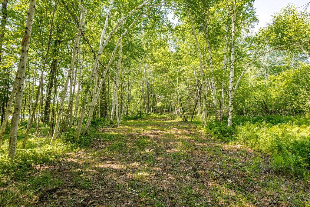 2592 Strandberg Road Property Photo 23