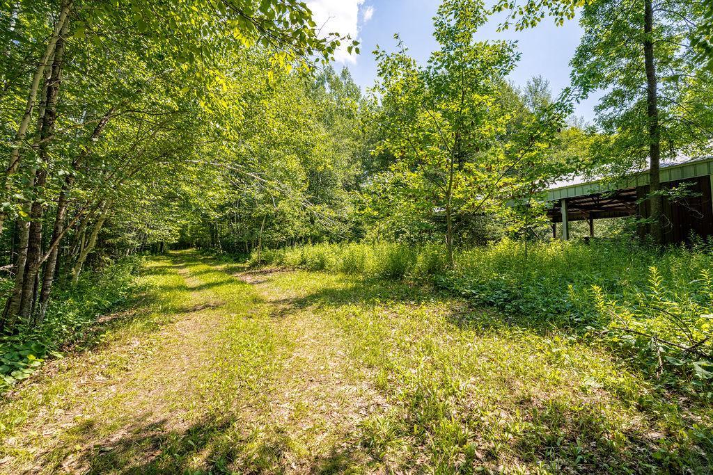 2592 Strandberg Road Property Photo 26