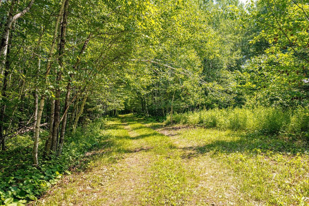 2592 Strandberg Road Property Photo 27