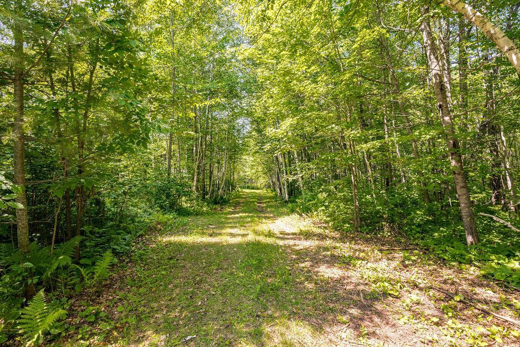 2592 Strandberg Road Property Photo 30