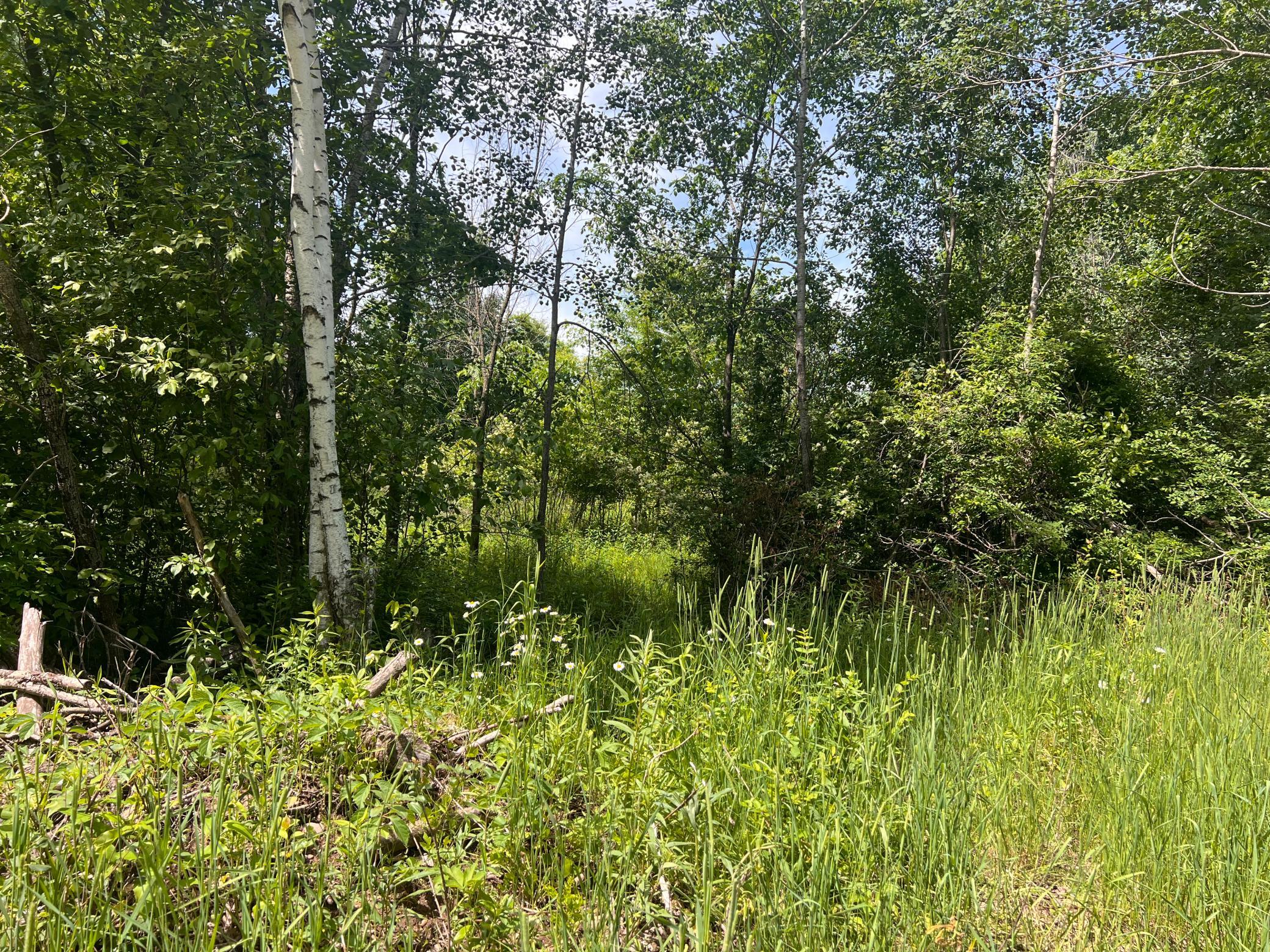 132 90th Avenue Property Photo 4