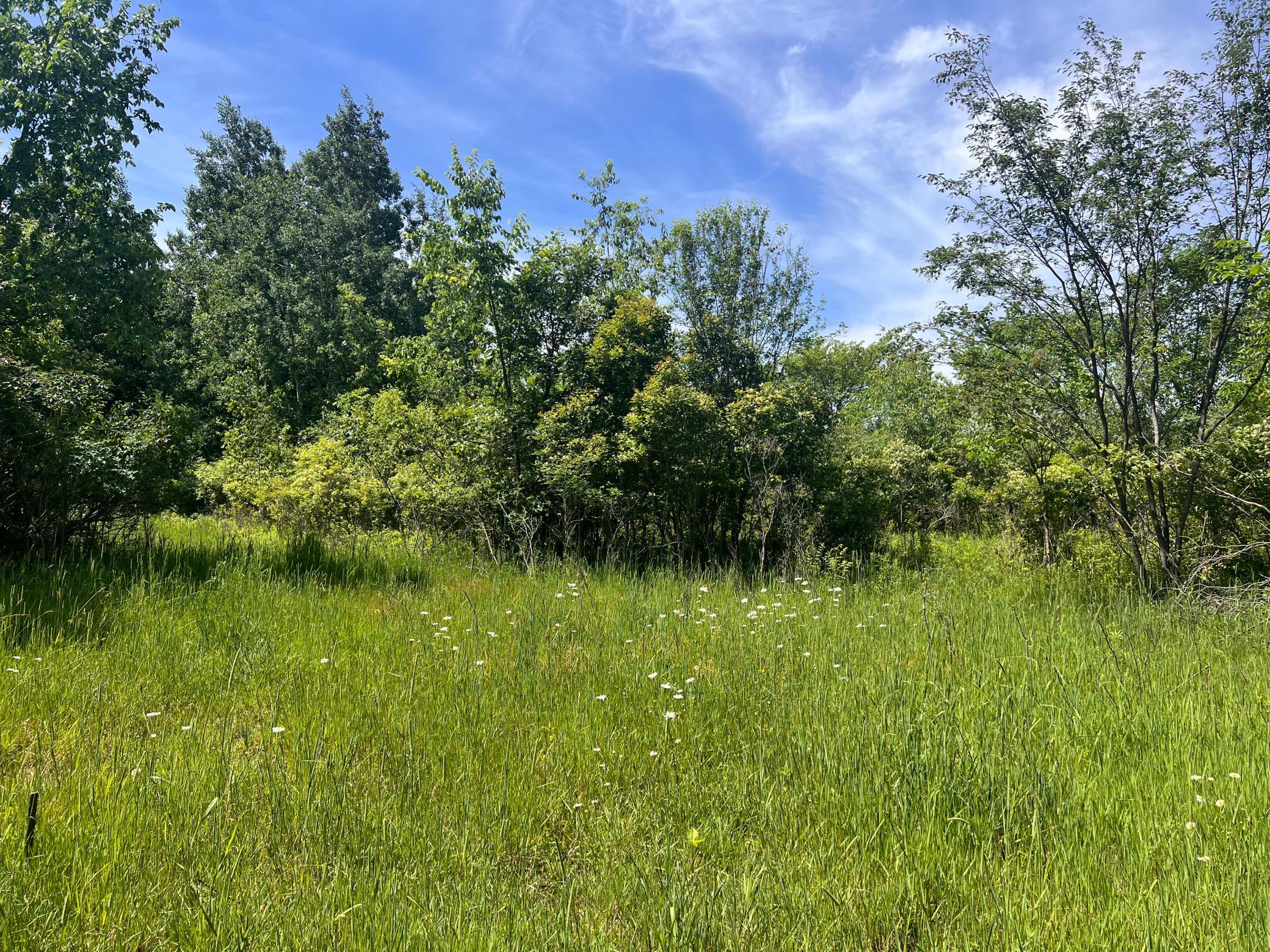 132 90th Avenue Property Photo 11