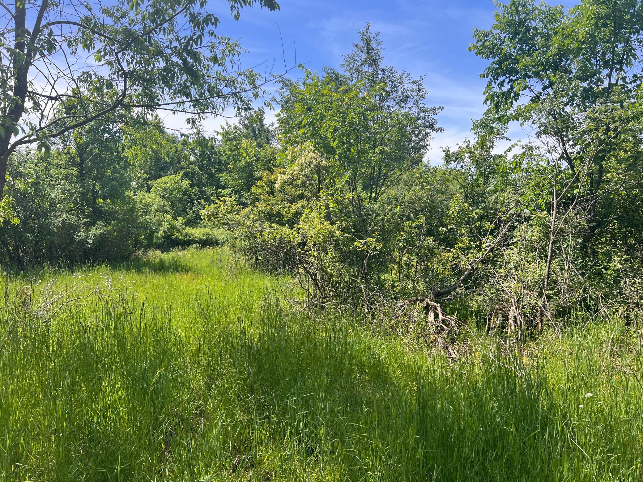 132 90th Avenue Property Photo 12