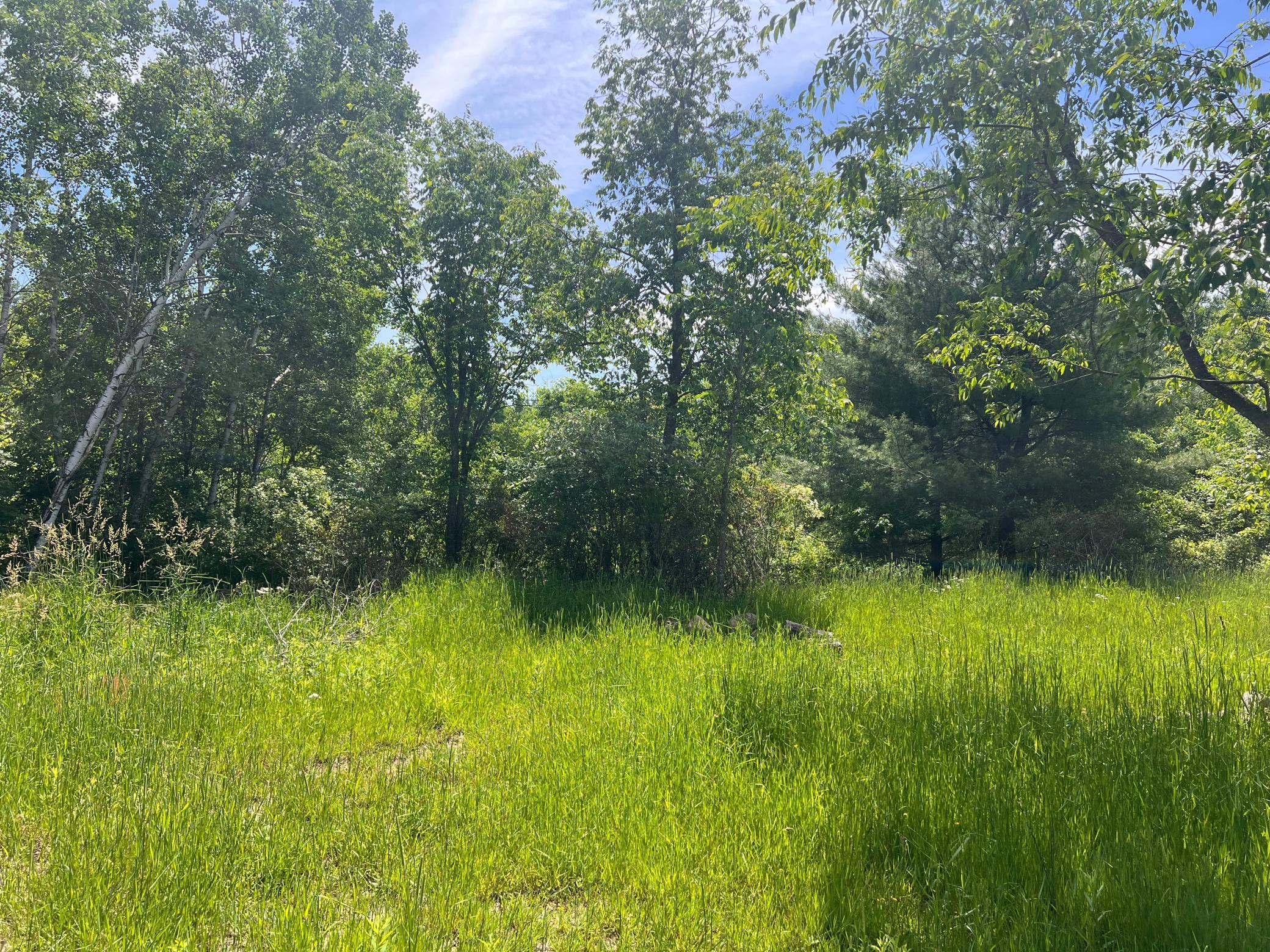 132 90th Avenue Property Photo 13