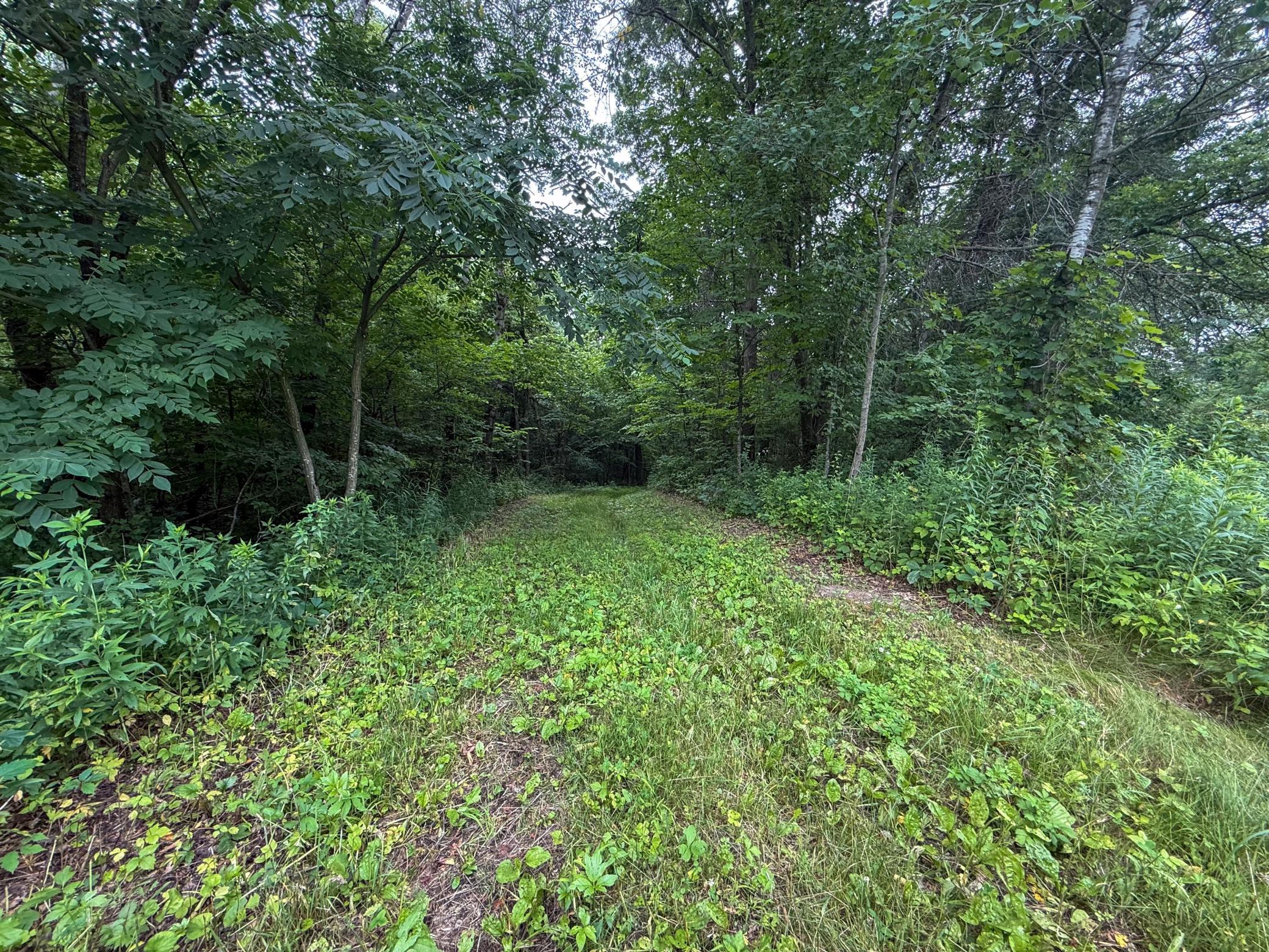 Tbd 590th Street Property Photo 45
