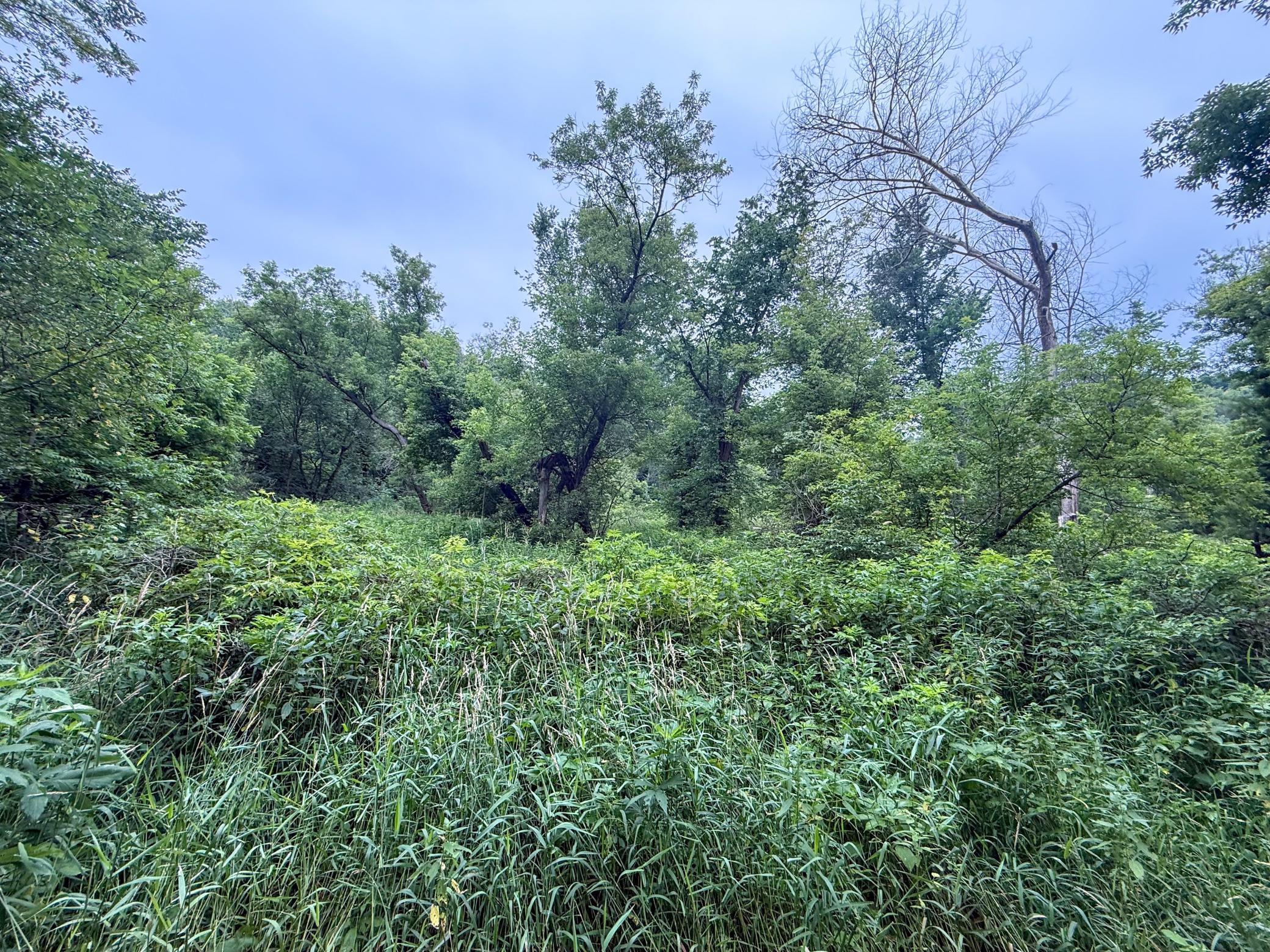Tbd 590th Street Property Photo 48