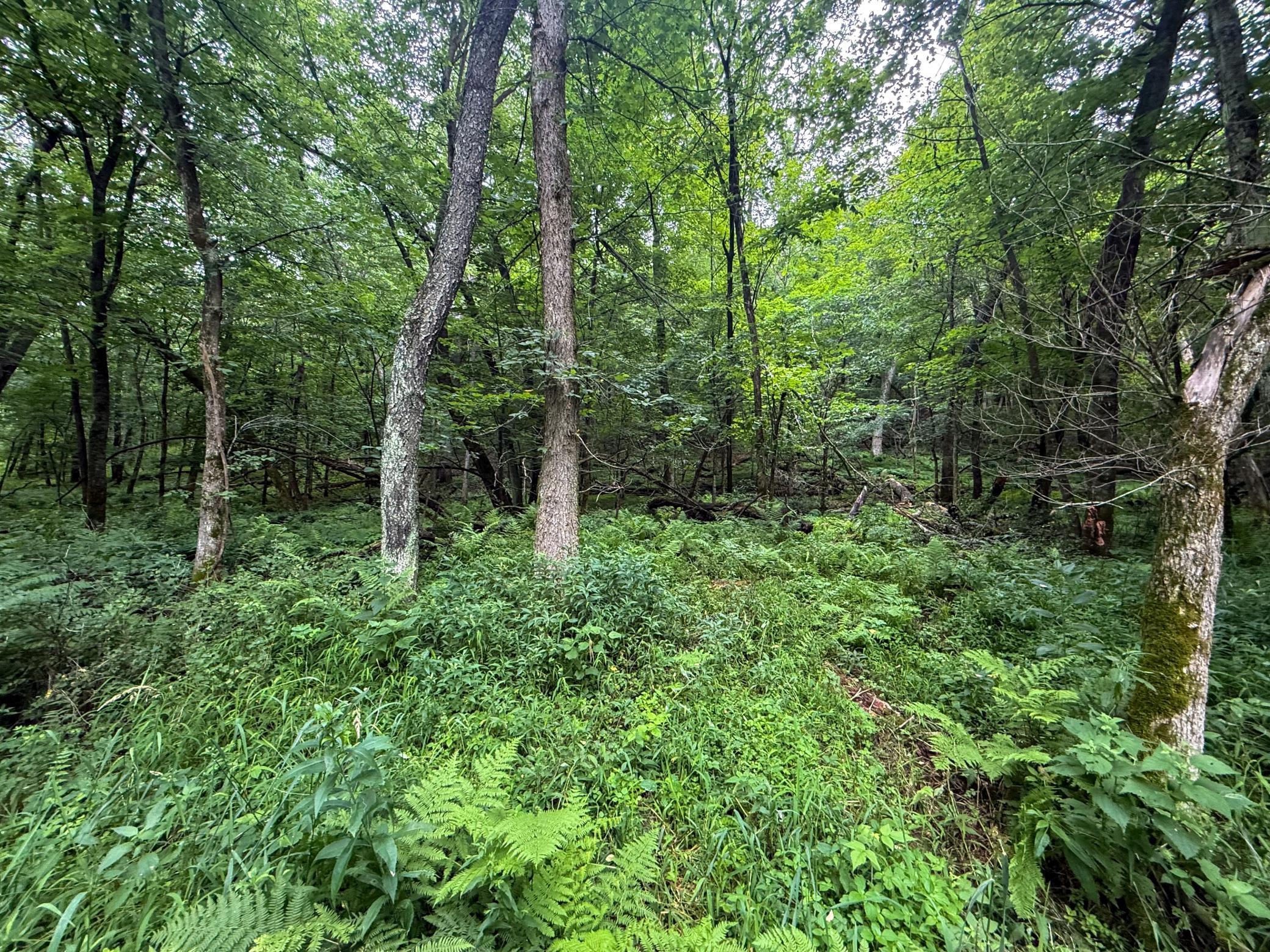 Tbd 590th Street Property Photo 56