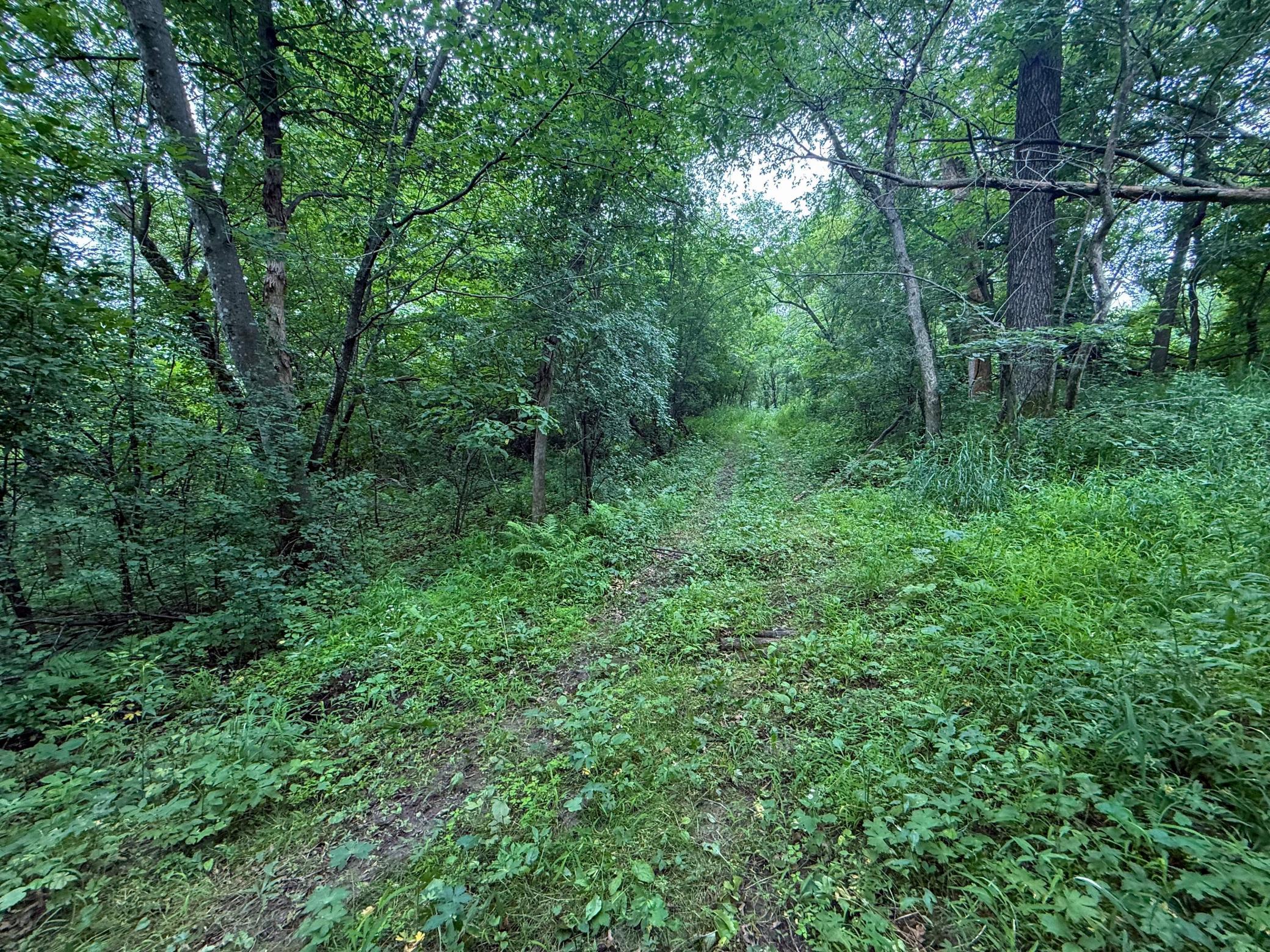Tbd 590th Street Property Photo 61