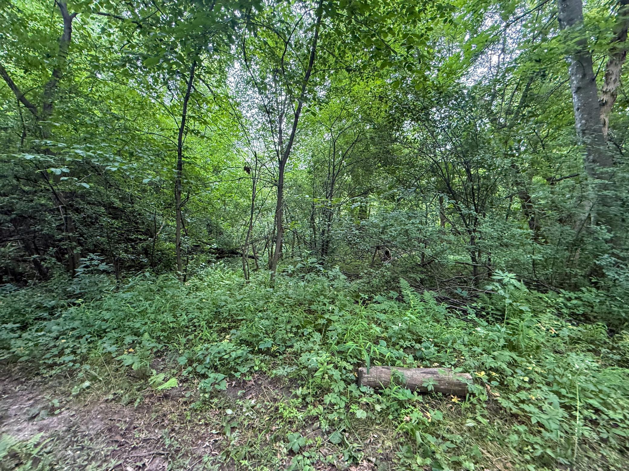Tbd 590th Street Property Photo 62