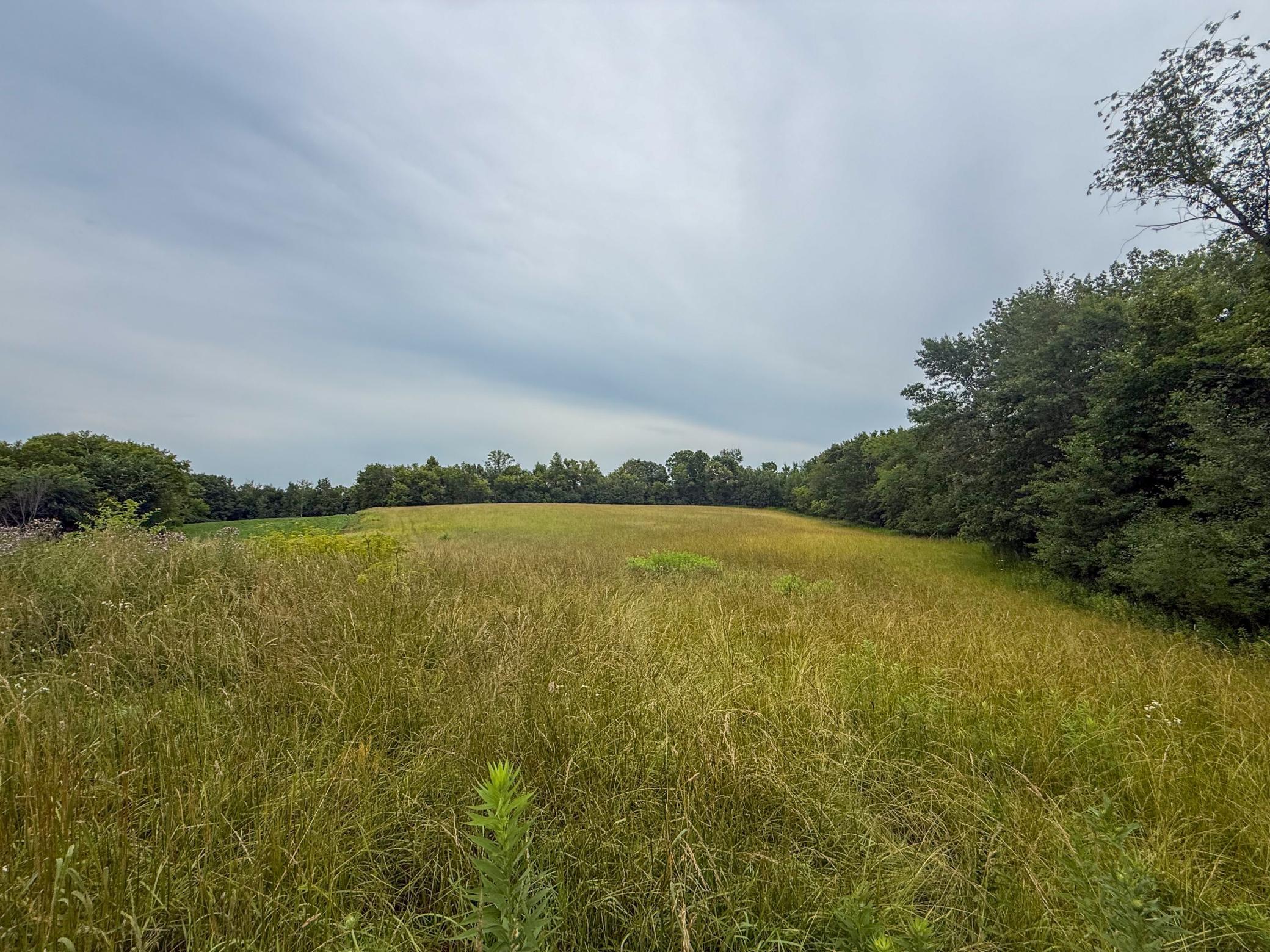 Tbd 590th Street Property Photo 63