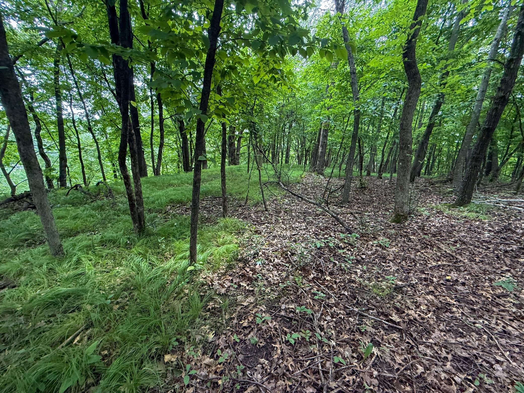 Tbd 590th Street Property Photo 71
