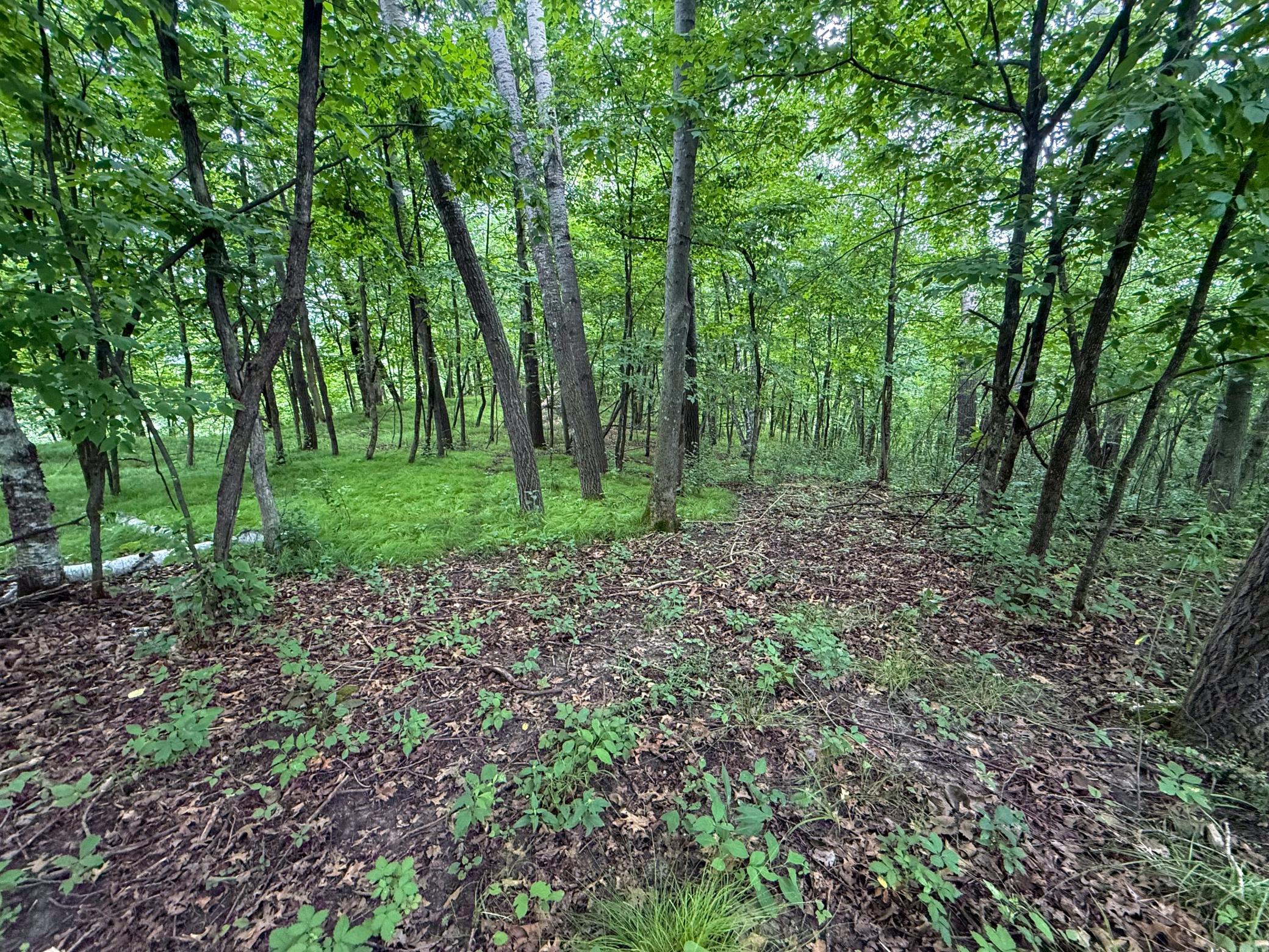 Tbd 590th Street Property Photo 73