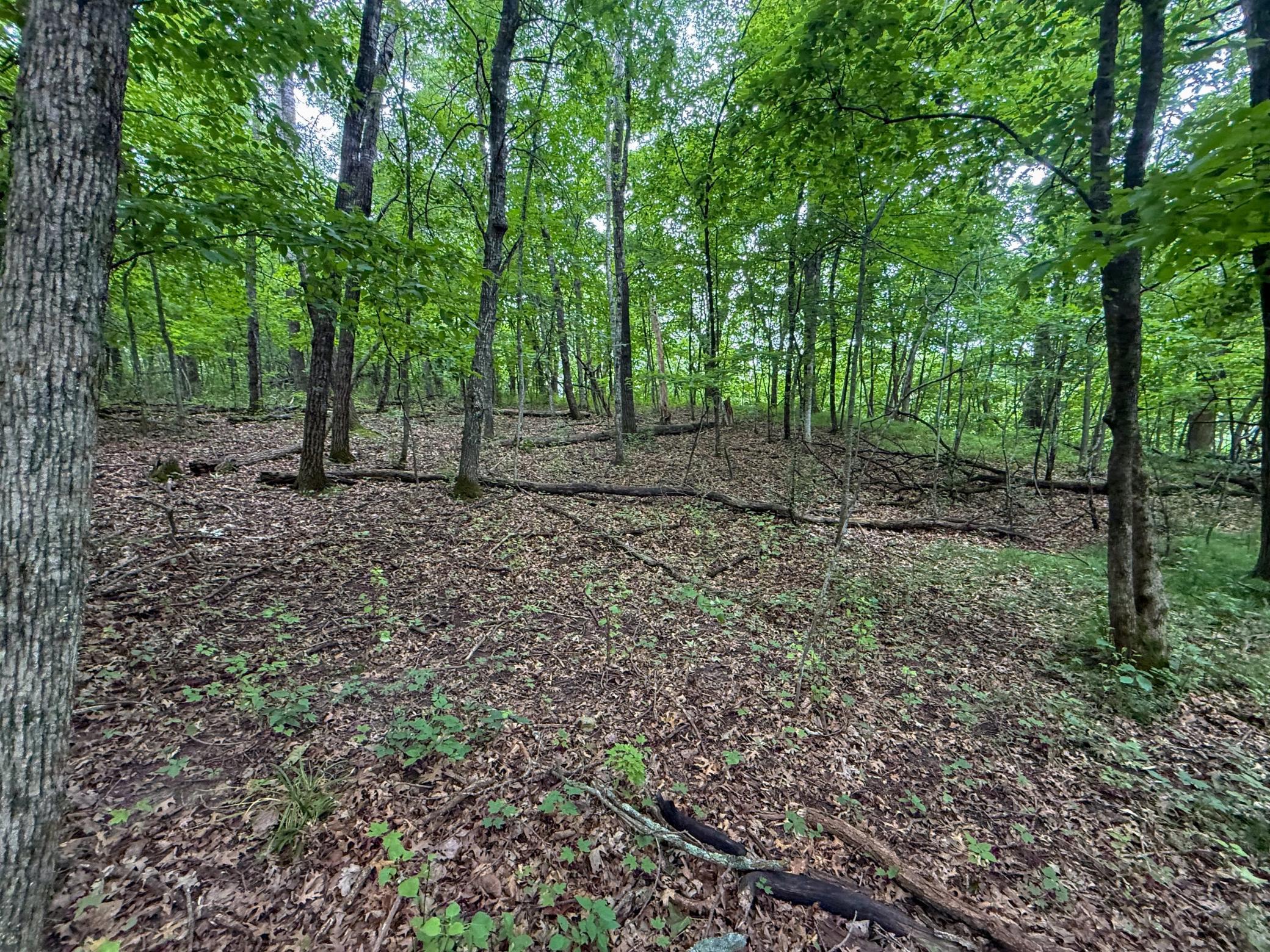 Tbd 590th Street Property Photo 76
