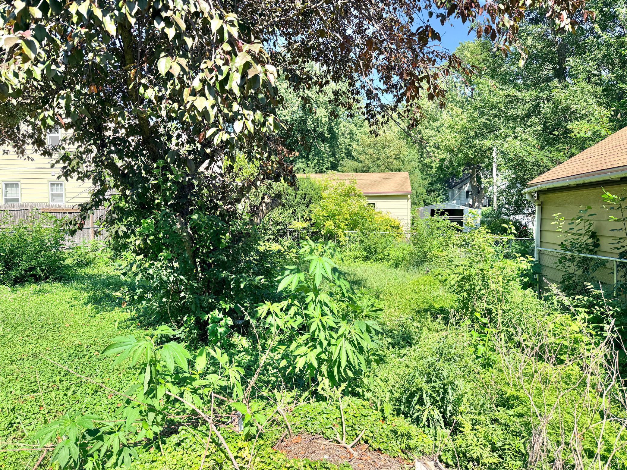 1205 James Avenue Property Photo 49