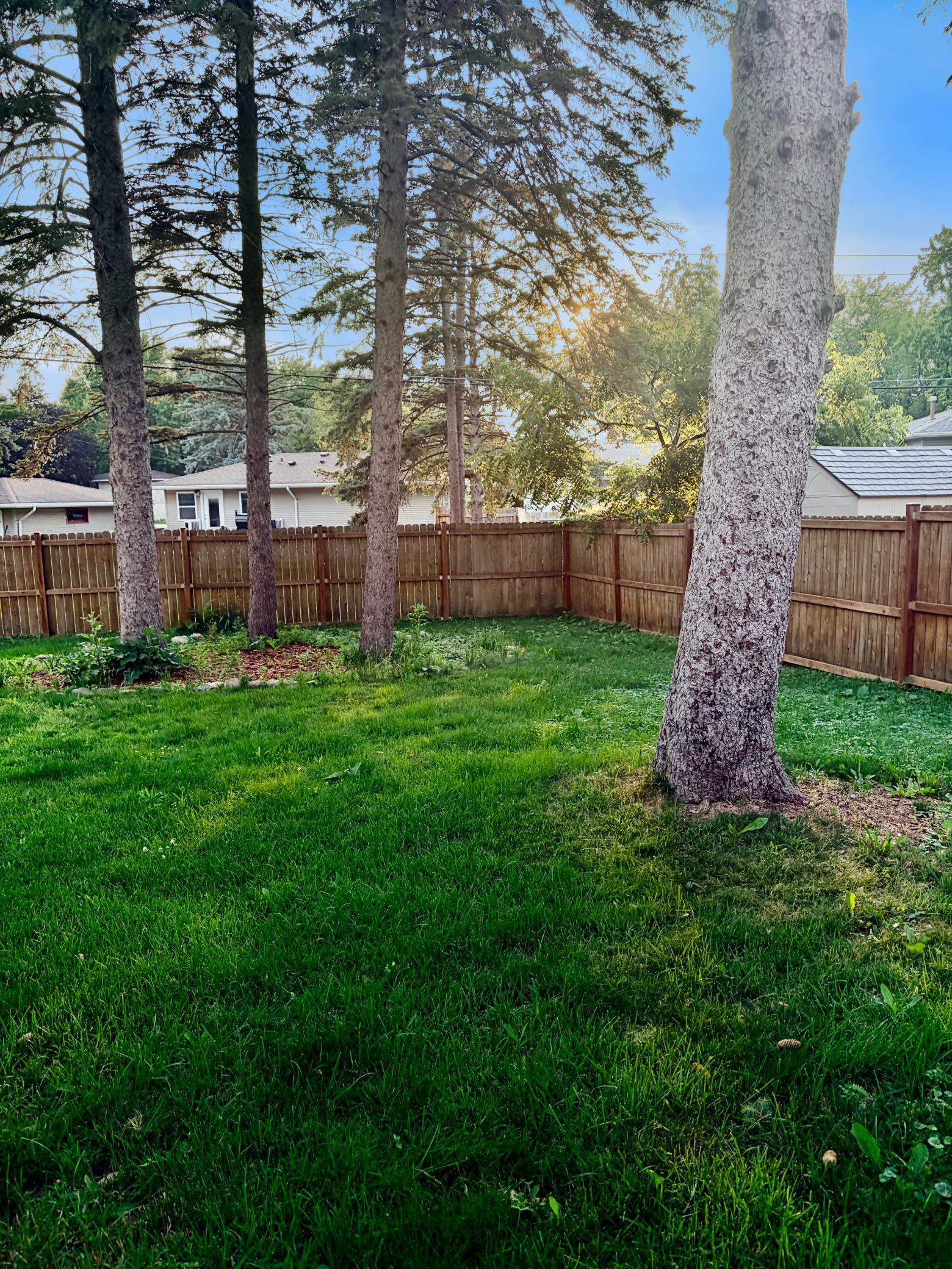 4333 Rahn Road Property Photo 17