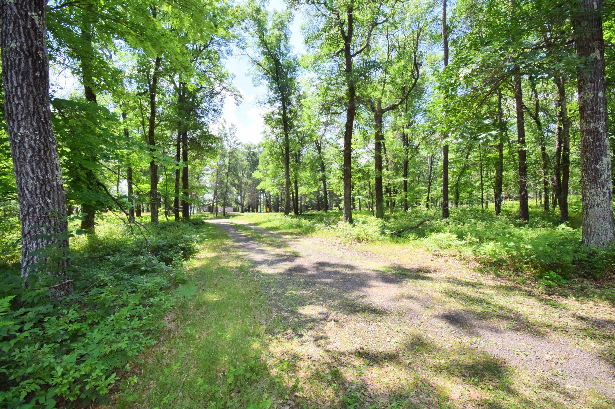 29774 Little Bear Drive Property Photo 39