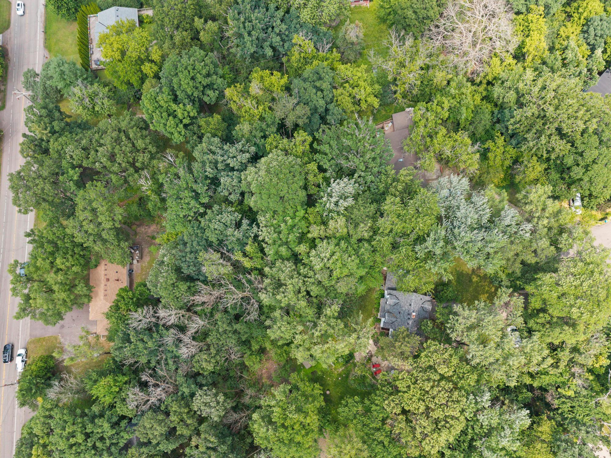 4115 Williston Road Property Photo 44