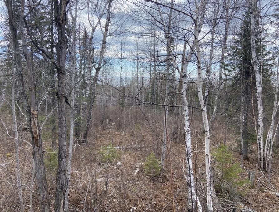 000 Aspen Lane Property Photo 1