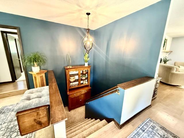 104 Cedar Point Property Photo 15