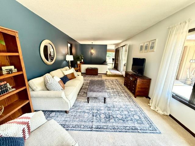 104 Cedar Point Property Photo 20