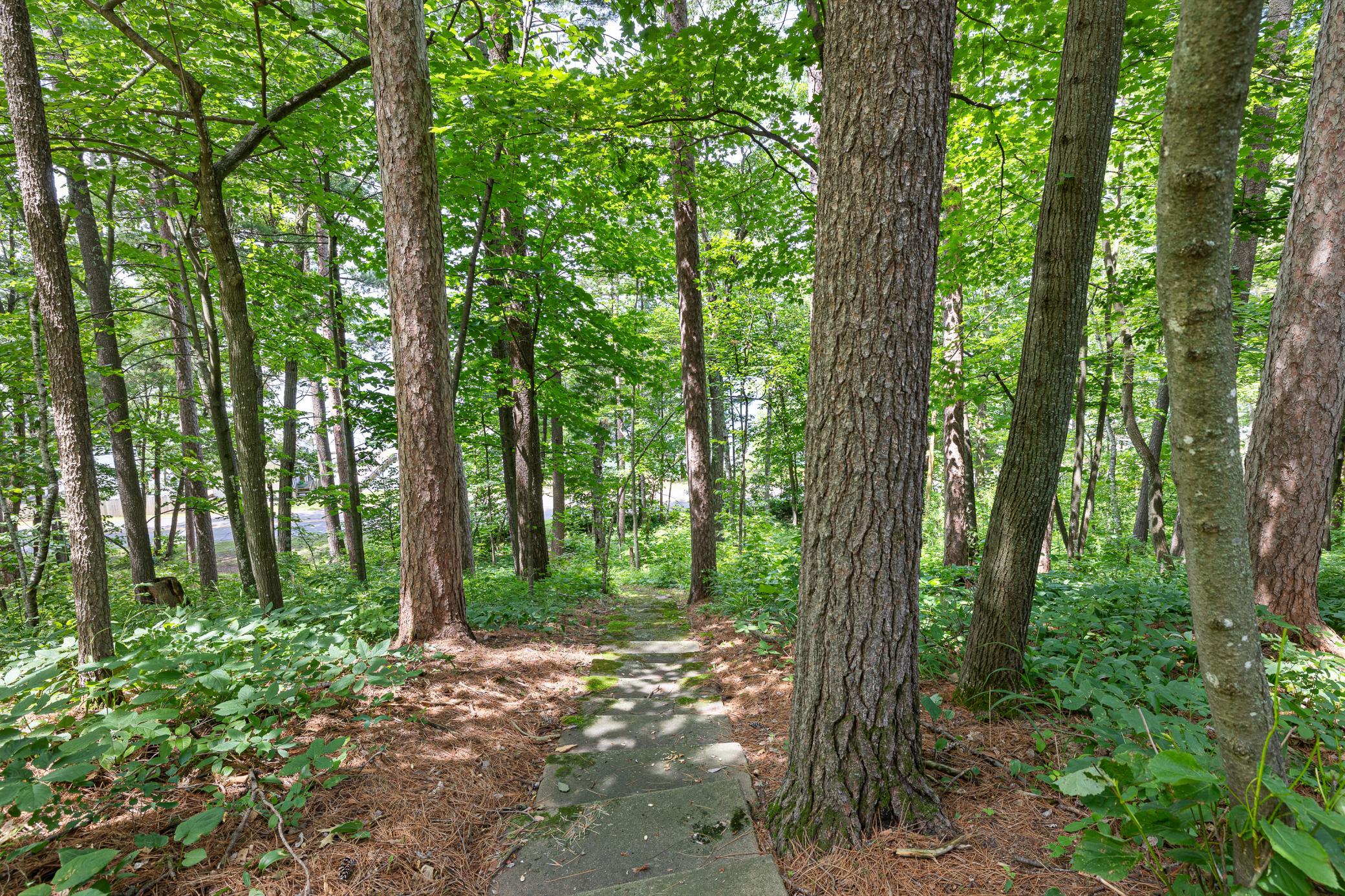 30653 Dove Road Property Photo 17