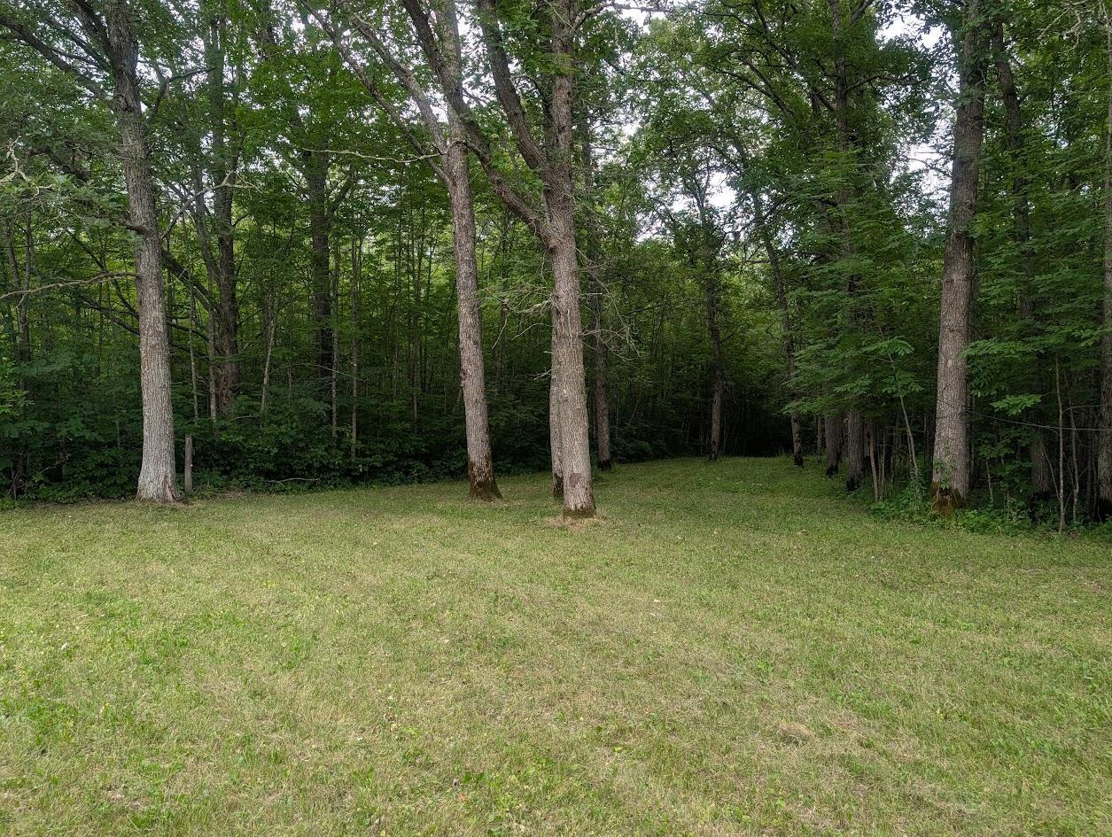 46212 Us Highway 169 Property Photo 20