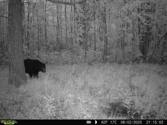 46212 Us Highway 169 Property Photo 28