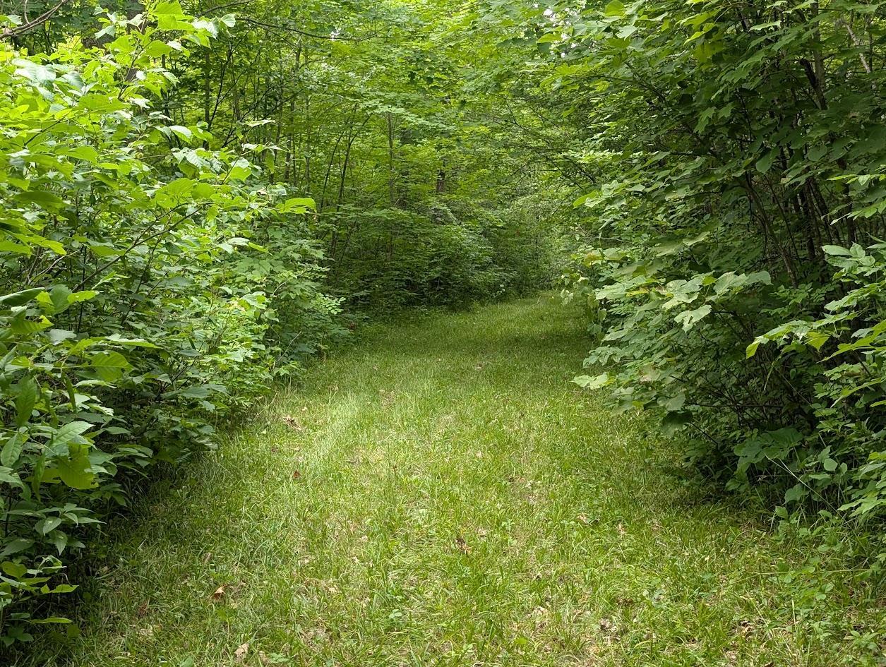 46212 Us Highway 169 Property Photo 30