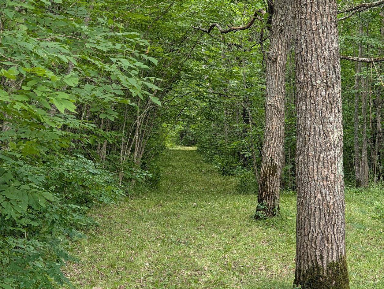 46212 Us Highway 169 Property Photo 32