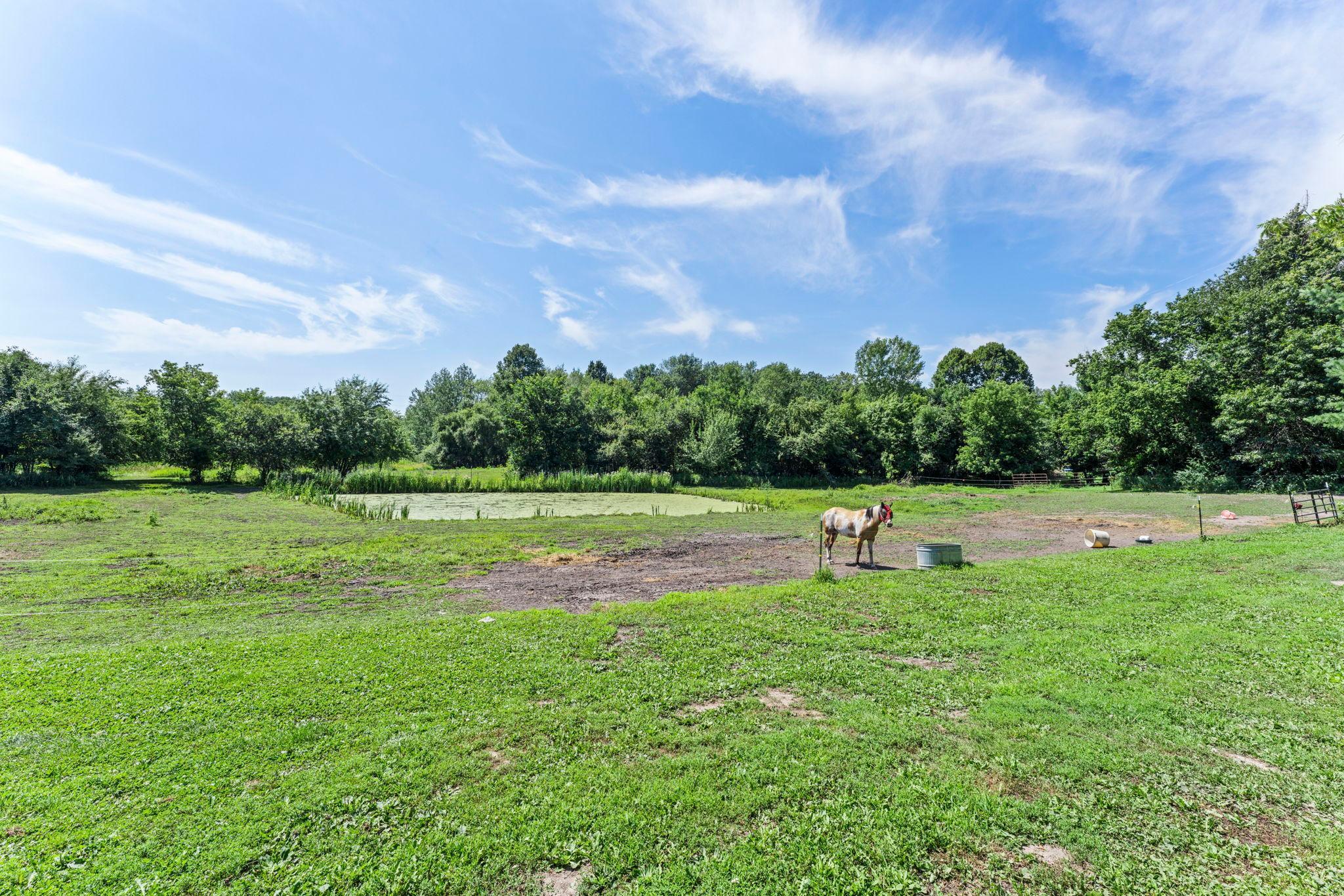 42550 Cedarcrest Trail Property Photo 49