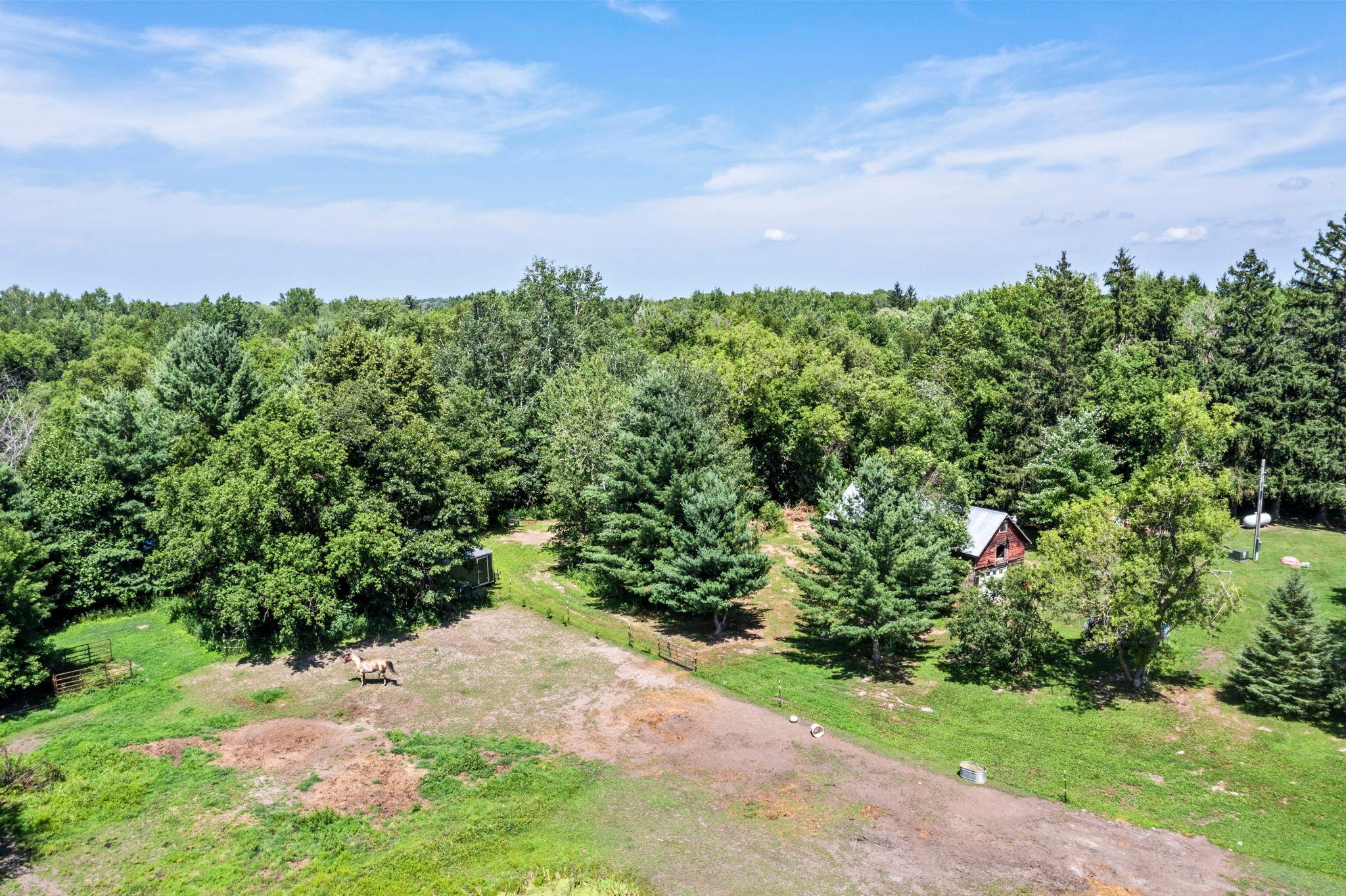 42550 Cedarcrest Trail Property Photo 59