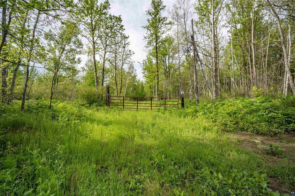 Tbd Xxx Digs Dr Property Photo 11