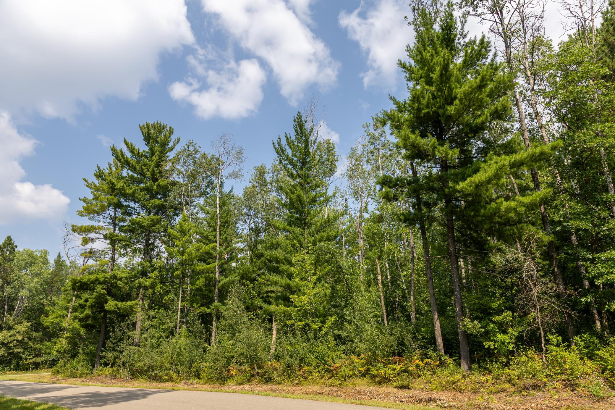 2.97 Acres Lot 8, Block 1 Nature Trail Property Photo 2