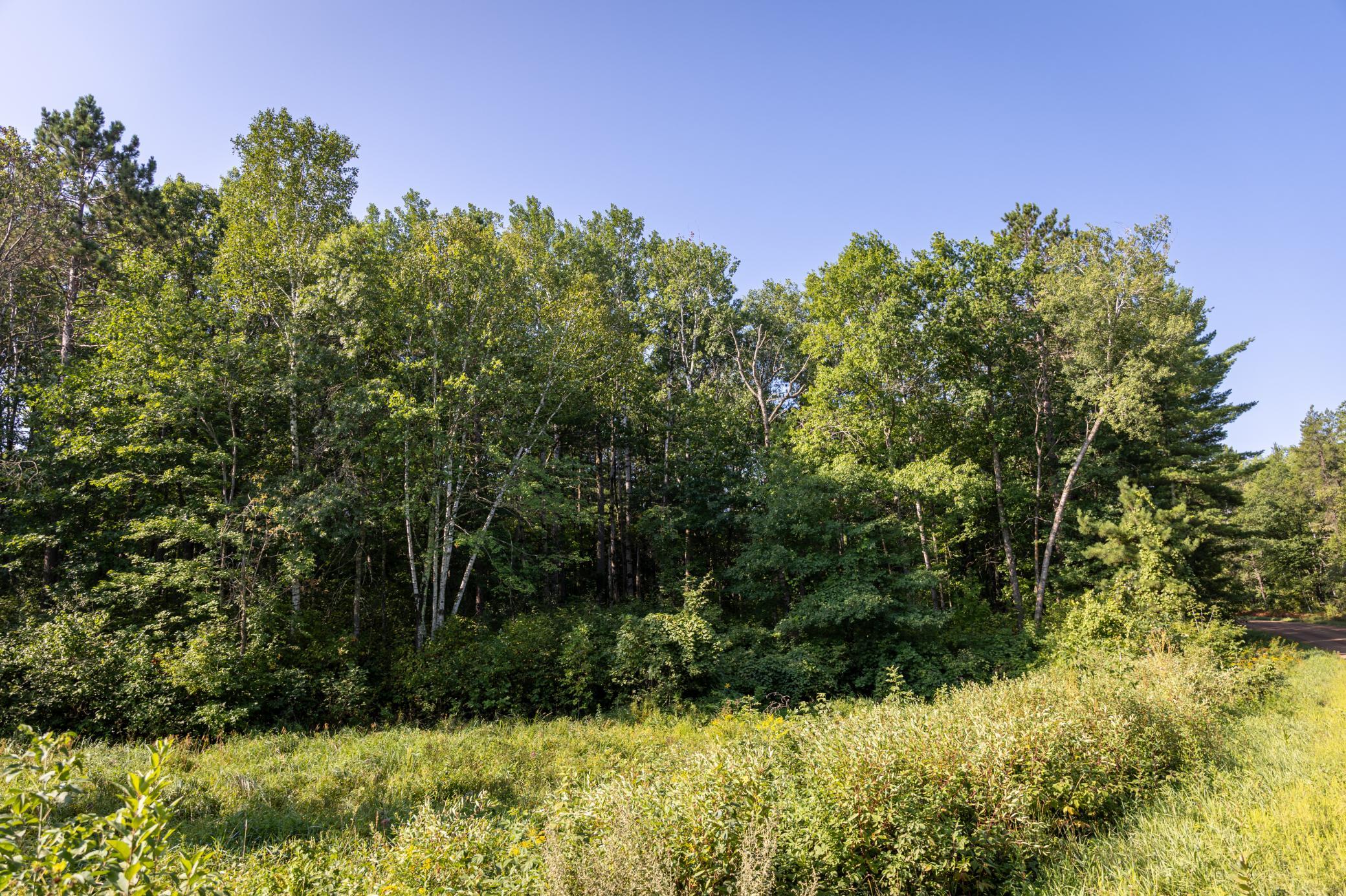 2.97 Acres Lot 8, Block 1 Nature Trail Property Photo 3
