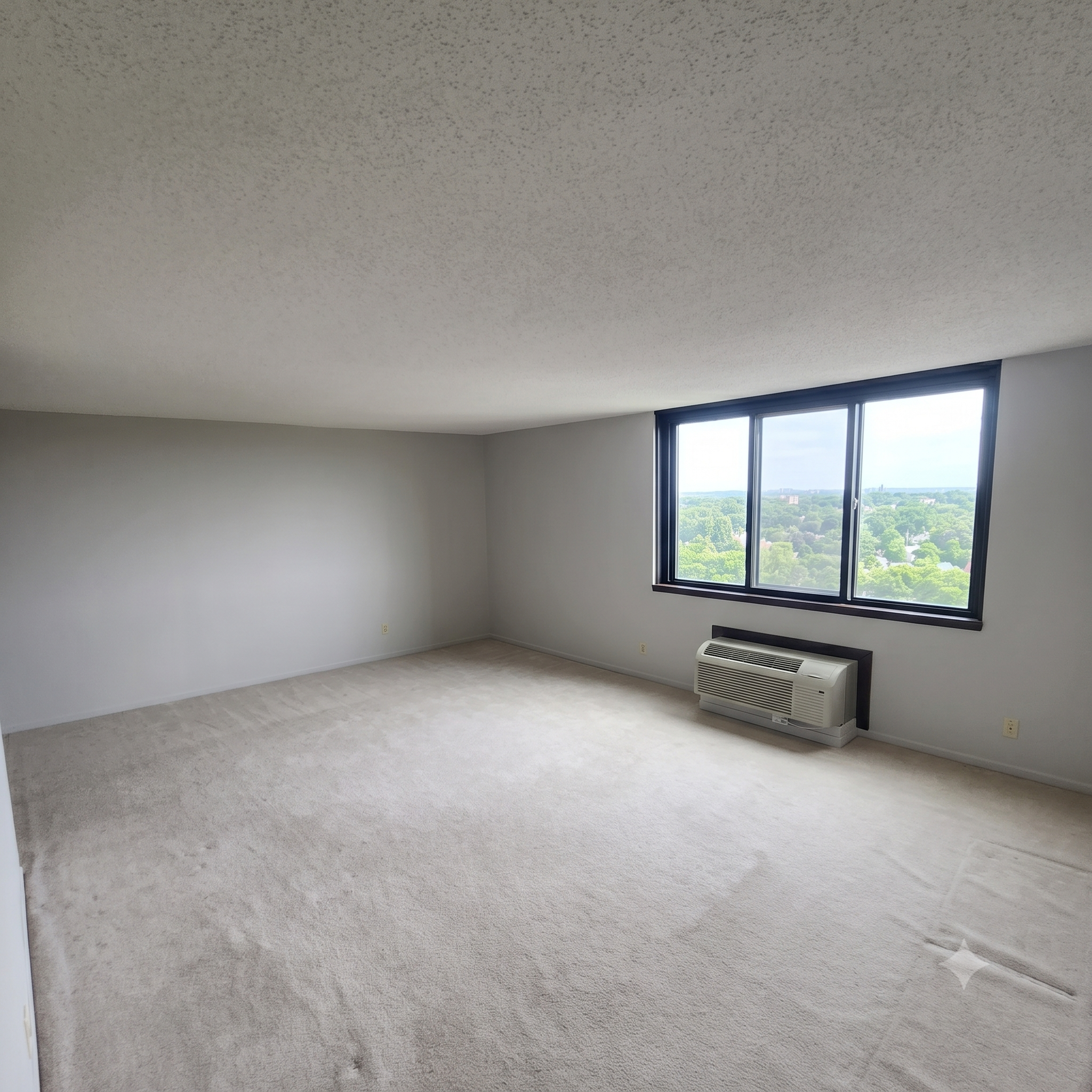 1181 Edgcumbe Road 1412 Property Photo 2