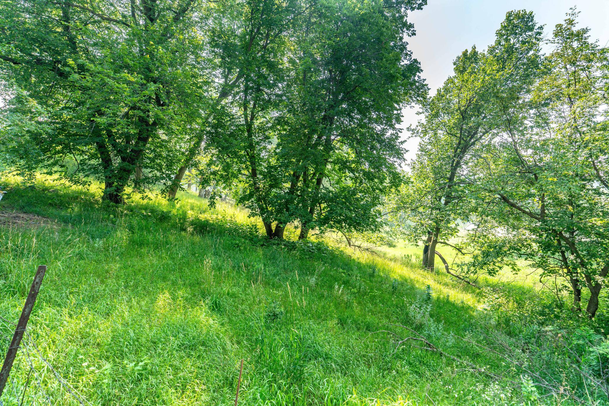 33667 County Highway 27 Property Photo 61