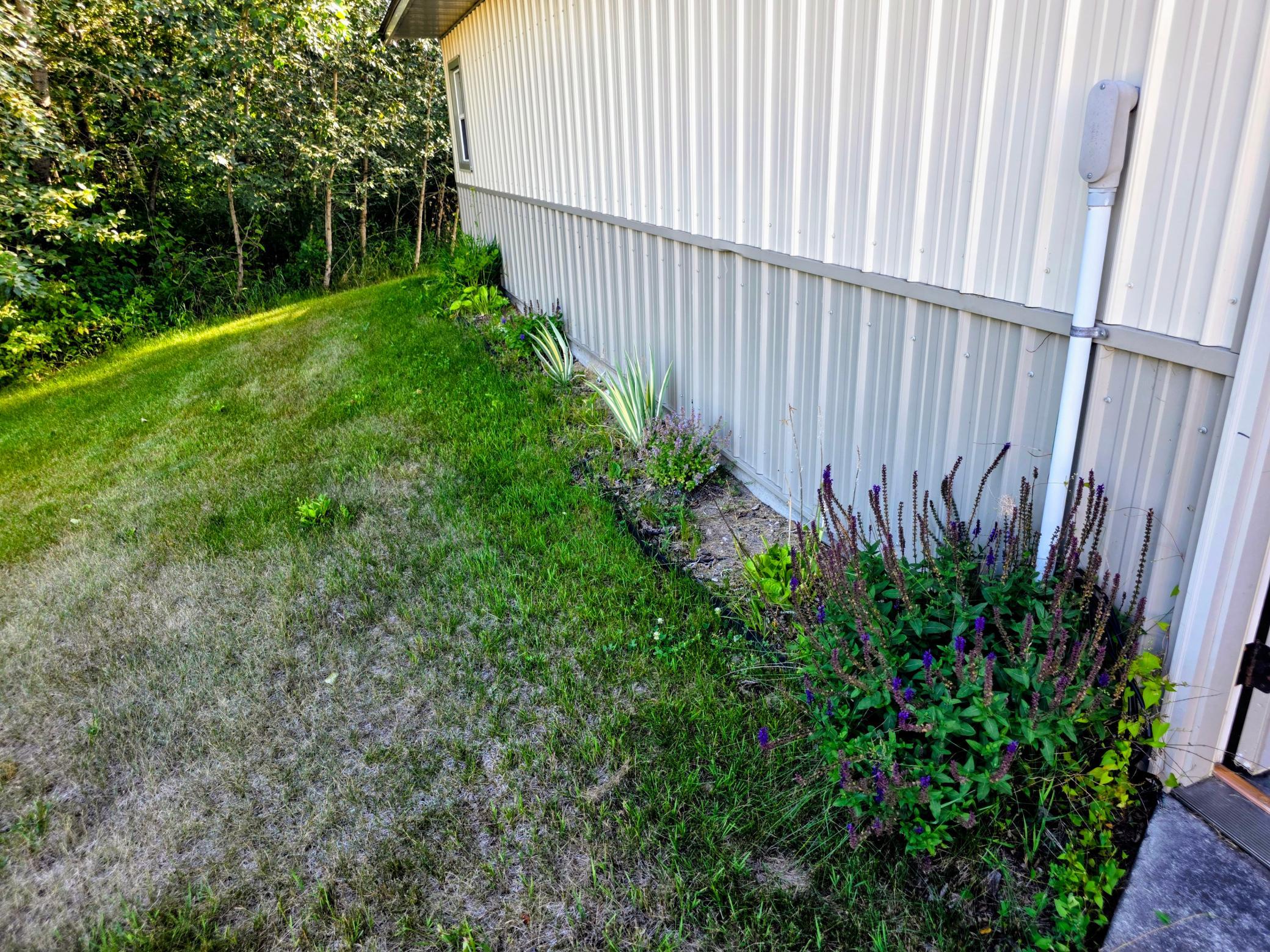 3142 Highway 53 Property Photo 35