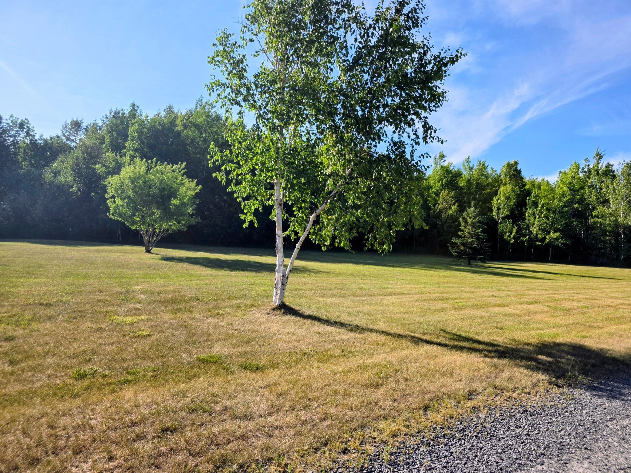 3142 Highway 53 Property Photo 39