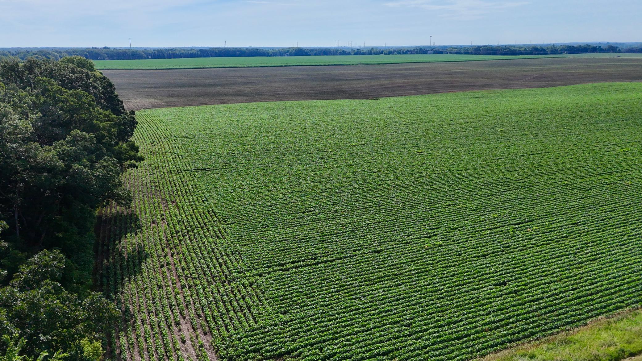 Tbd County Road 7 Property Photo 12
